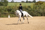Class 6 - Novice 27 portfolio
