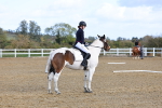 SBM_000956