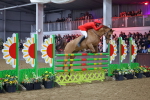 SBM_006569