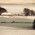 Cold Storage