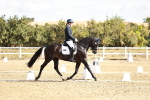 SBM_008799