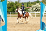 SBM_007806