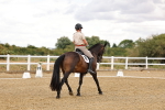 SBM_006390