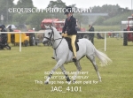JAC_4101