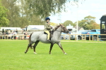 SBM_42768