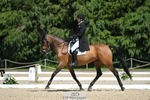 484-MERMUS_R_DIAMONDS-Richard_Coney-DR portfolio