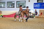 SBM_09560