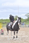 BPP_4951