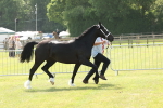 SBM_02266