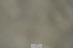 230305A-111342-00493