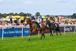 300826-Race 5-Harb-1118