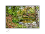 01 9x12 2022-555C Foleys Bridge Shimna River Tullymore Forest Co Down