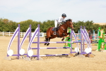 SBM_003352