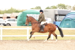 SBM_16501