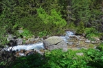 Rila Mountains, Sofia Province, Bulgaria