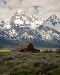 Grand Tetons Mormon Row 2 11 x 14