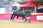 SBM_02981