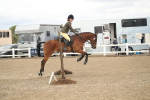 SBM_16655