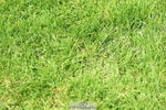 250615A-122120-10679
