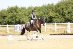 SBM_009413