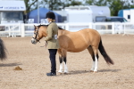 SBM_02390