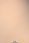 250403-134245-02118
