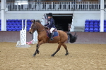 SBM_000335