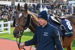 241025-Race 4-Sir Galahad-3797