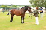 SBM_04234