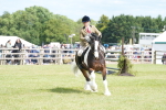 SBM_17296
