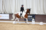 SBM_001659
