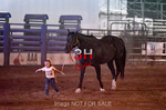 3HRodeo7-12-24_LJD_3HR5358_LJD