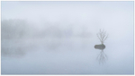 Dawn on the River Barrow, Co Carlow