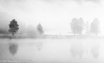 Alum Creek fog