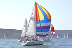 190629 FLEURIE K4502 D43A2652