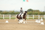 SBM_007127