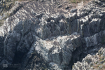 Seabird colony, South Stack, Anglesey