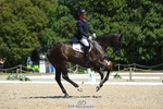 477-TREGILDER-Oliver_Townend-DR portfolio