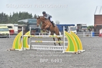 BPP_6493