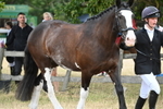 WJ6_8078