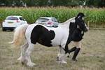 WJ6_5729