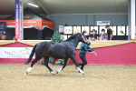 SBM_16636