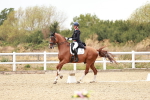 SBM_006834