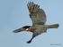 Giant take-off