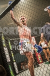 FULL BOAR CAGE FIGHTING 2013 portfolio