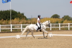SBM_004413