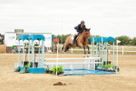 SBM_017667