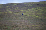 Blencathra-1