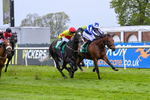 160526-Race 7-Brighton Boy-0094