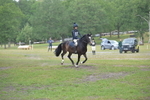 NGP_7985